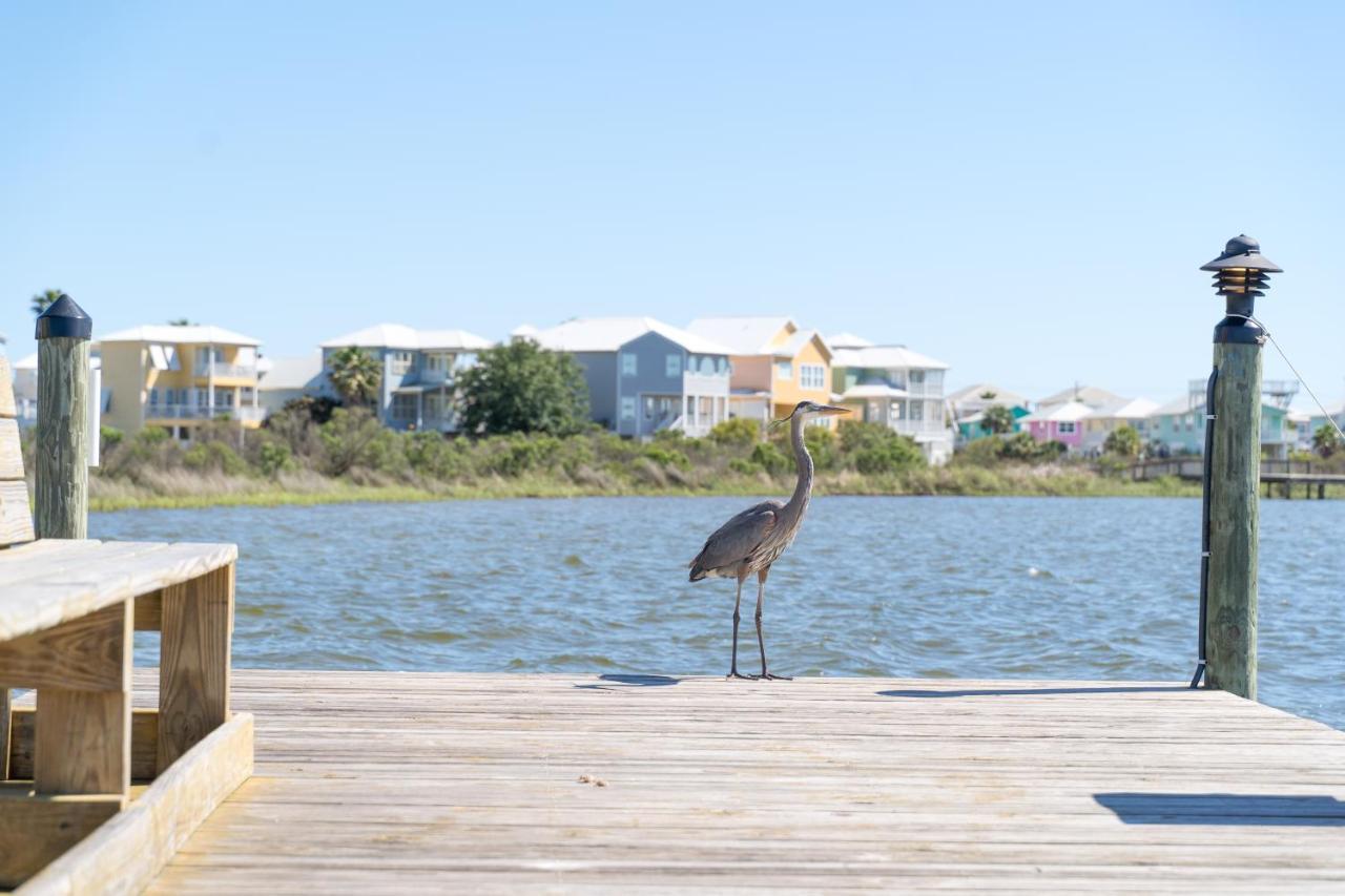 Compass Point 310 Appartement Gulf Shores Buitenkant foto